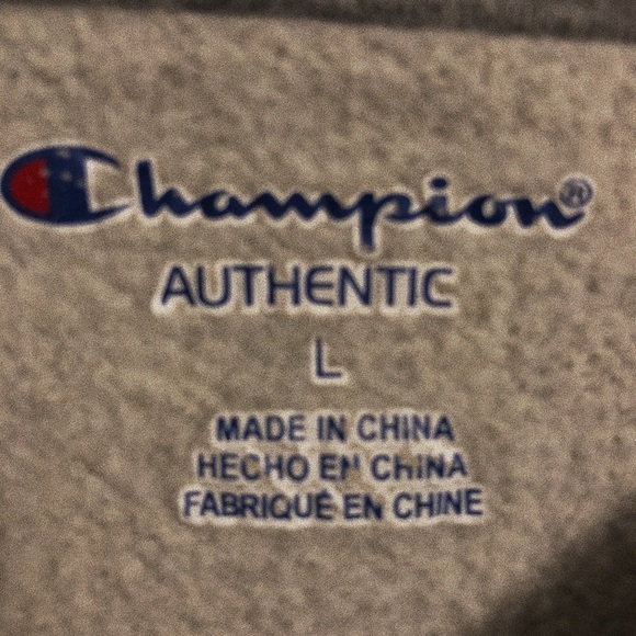 Champion Hoodie - Picture 3 of 3